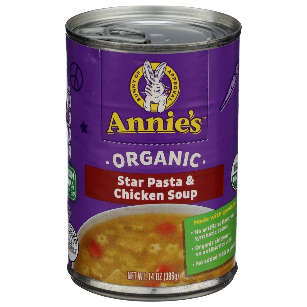 Annies Homegrown Organic Star Pasta and Chicken Soup, 14 Ounce -- 12 per case