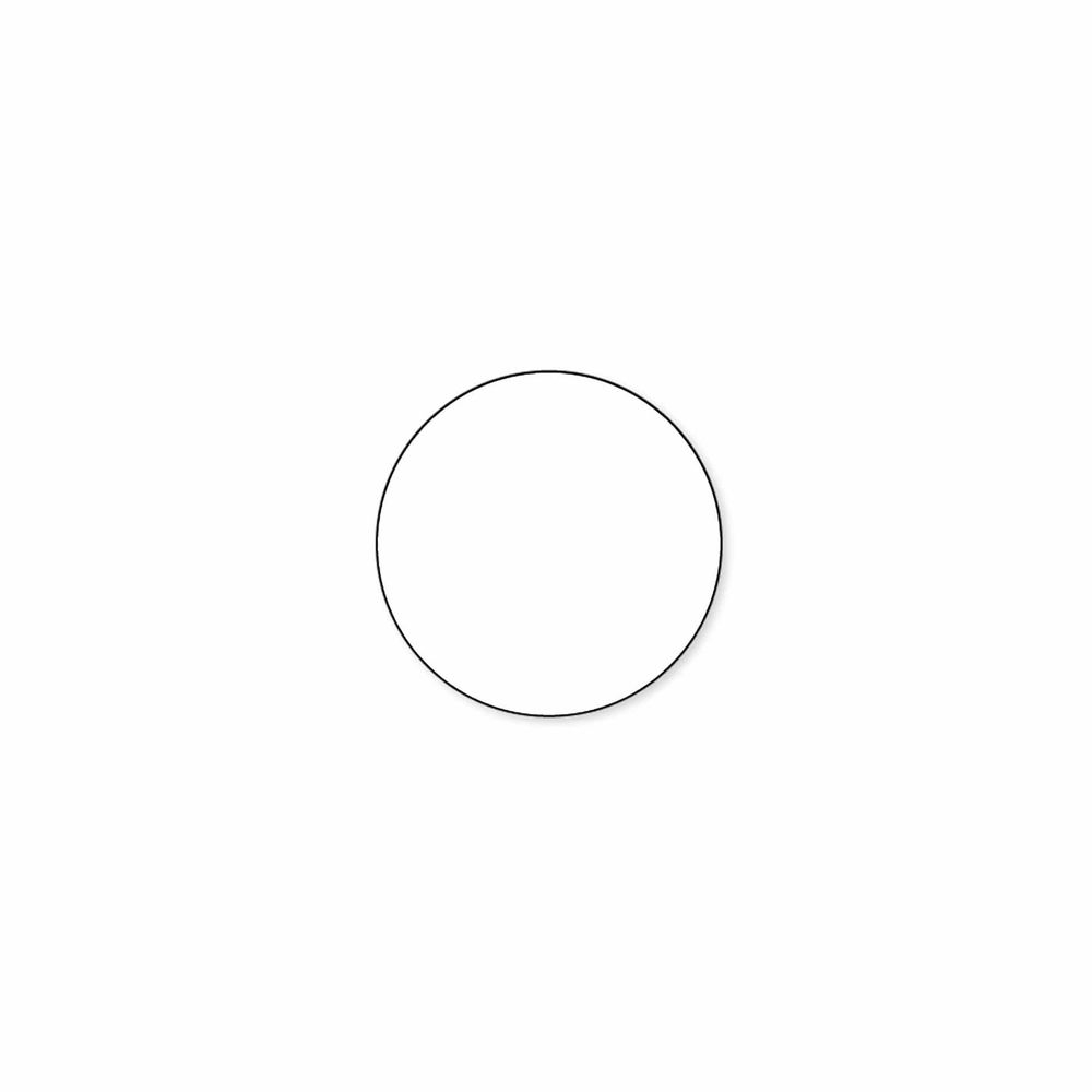 Datecodegenie 2 Inch White Circle Blank Permanent Label Roll, 4 count