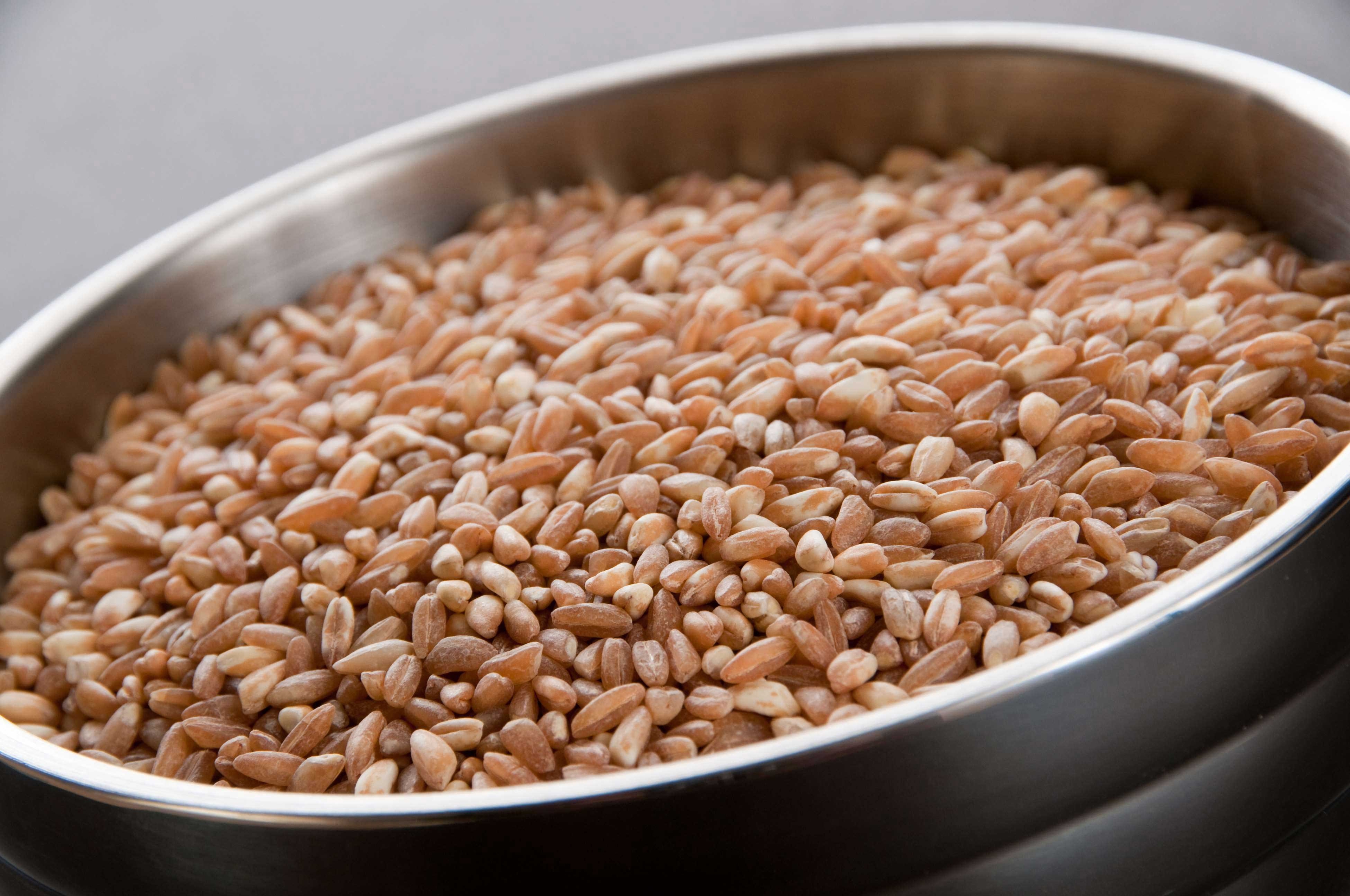 InHarvest Cholesterol Free Pearl Wheat Farro, 2 Pound -- 6 per case