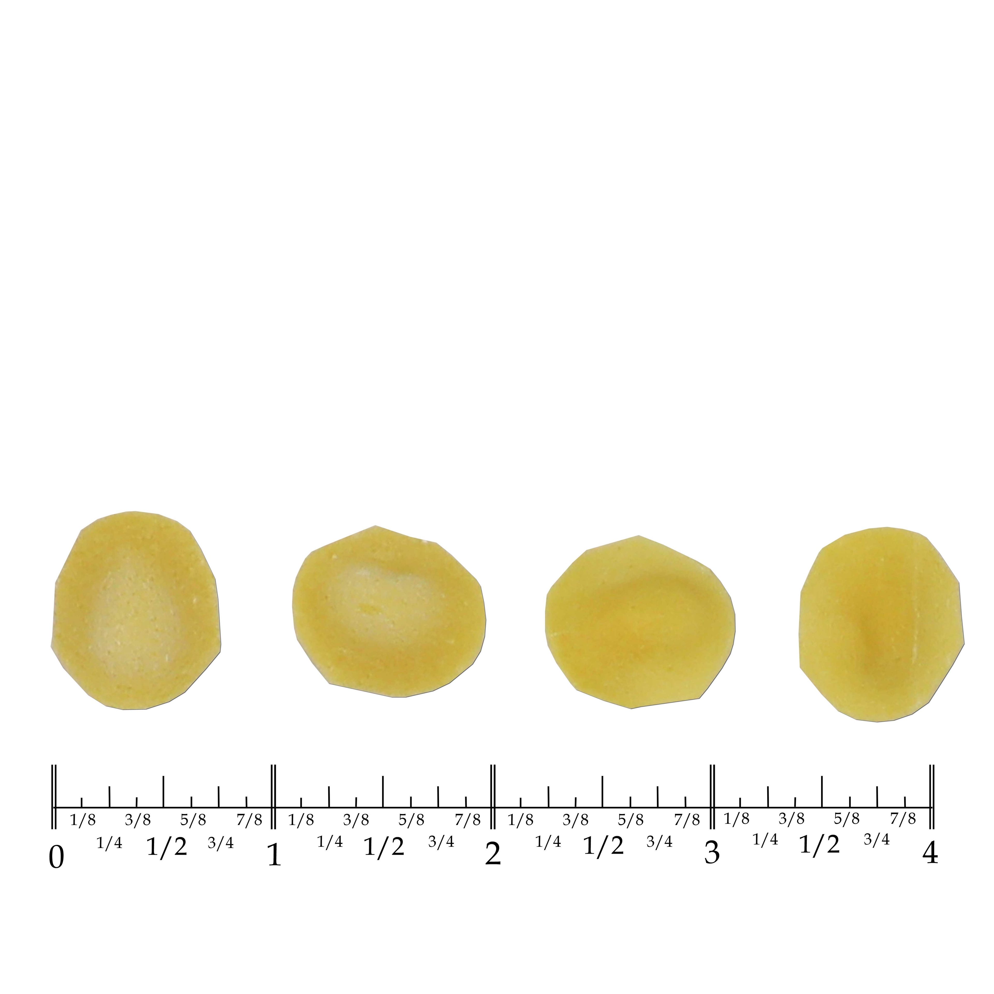 Costa Orecchiette Pasta, 10 Pound.