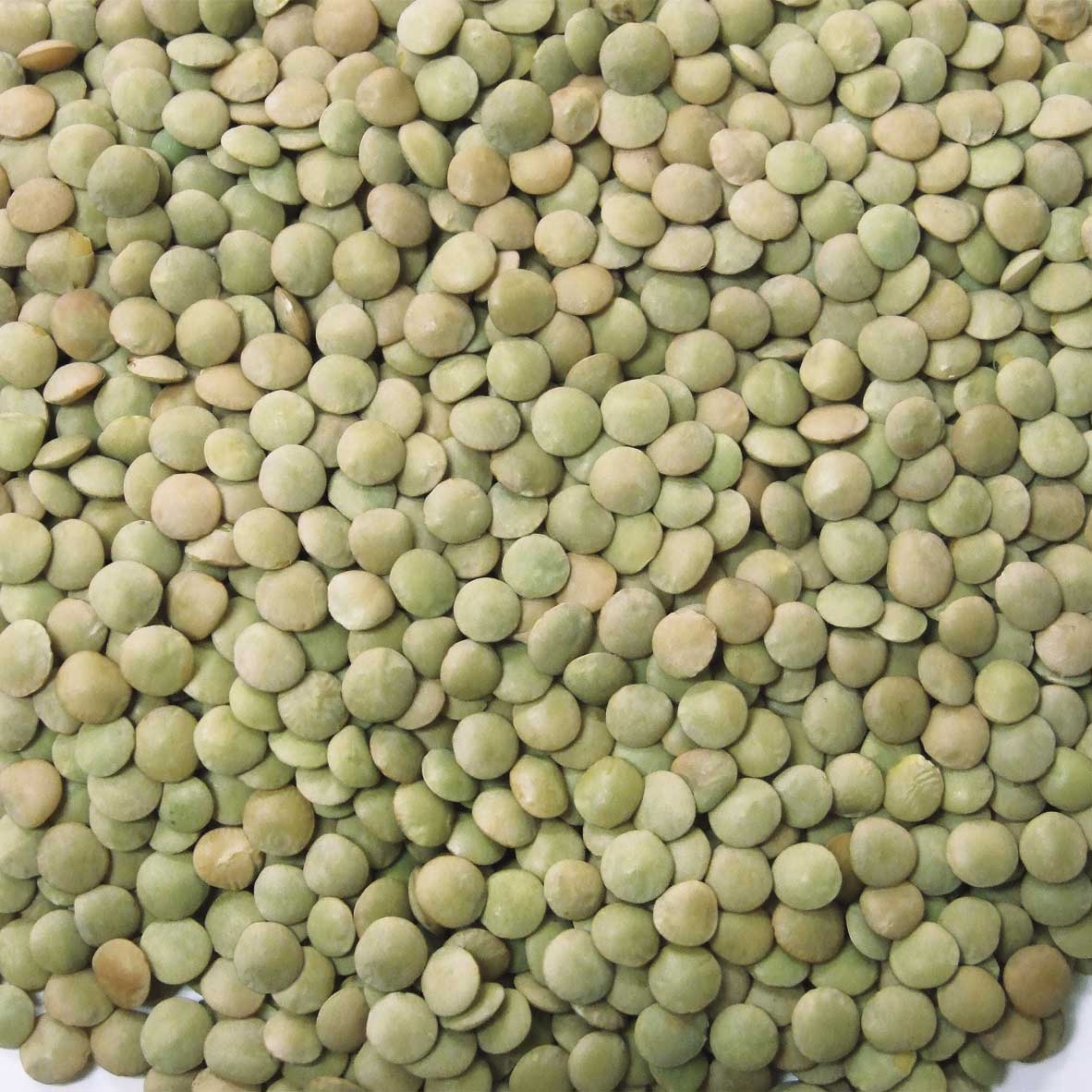 Peak Premium Quality Lentils, 20 Pound.