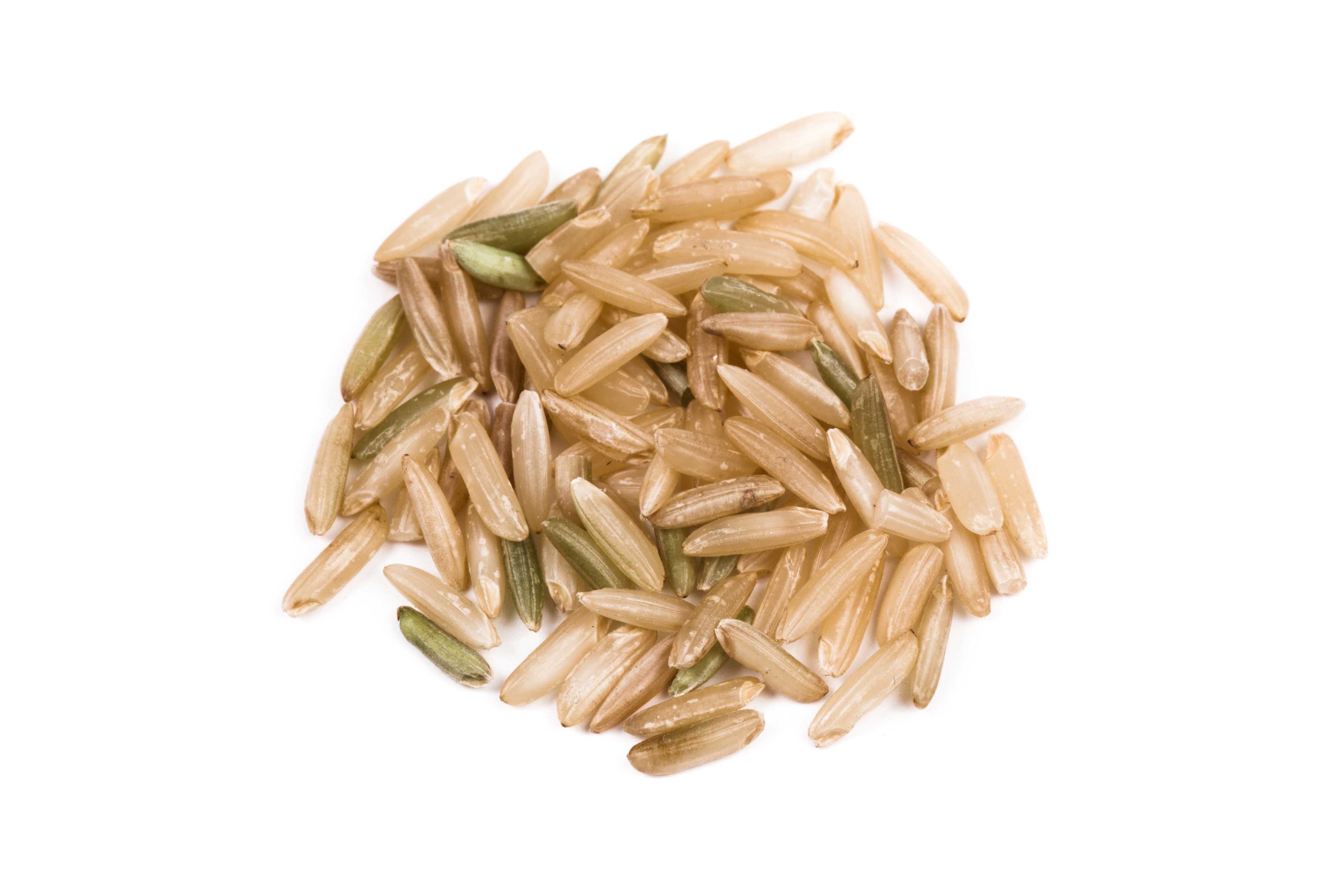 Lundberg Organic American Brown Jasmine Rice, 25 Pound.