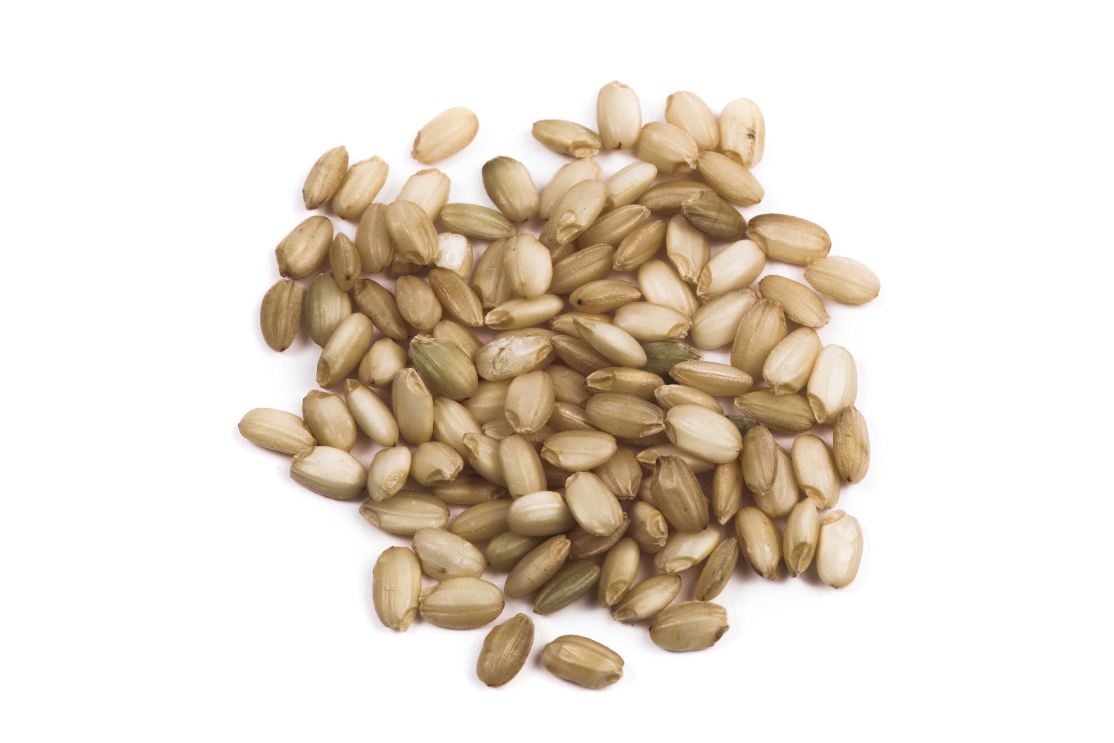 Lundberg Eco Farmed Sweet Brown Rice, 25 Pound.