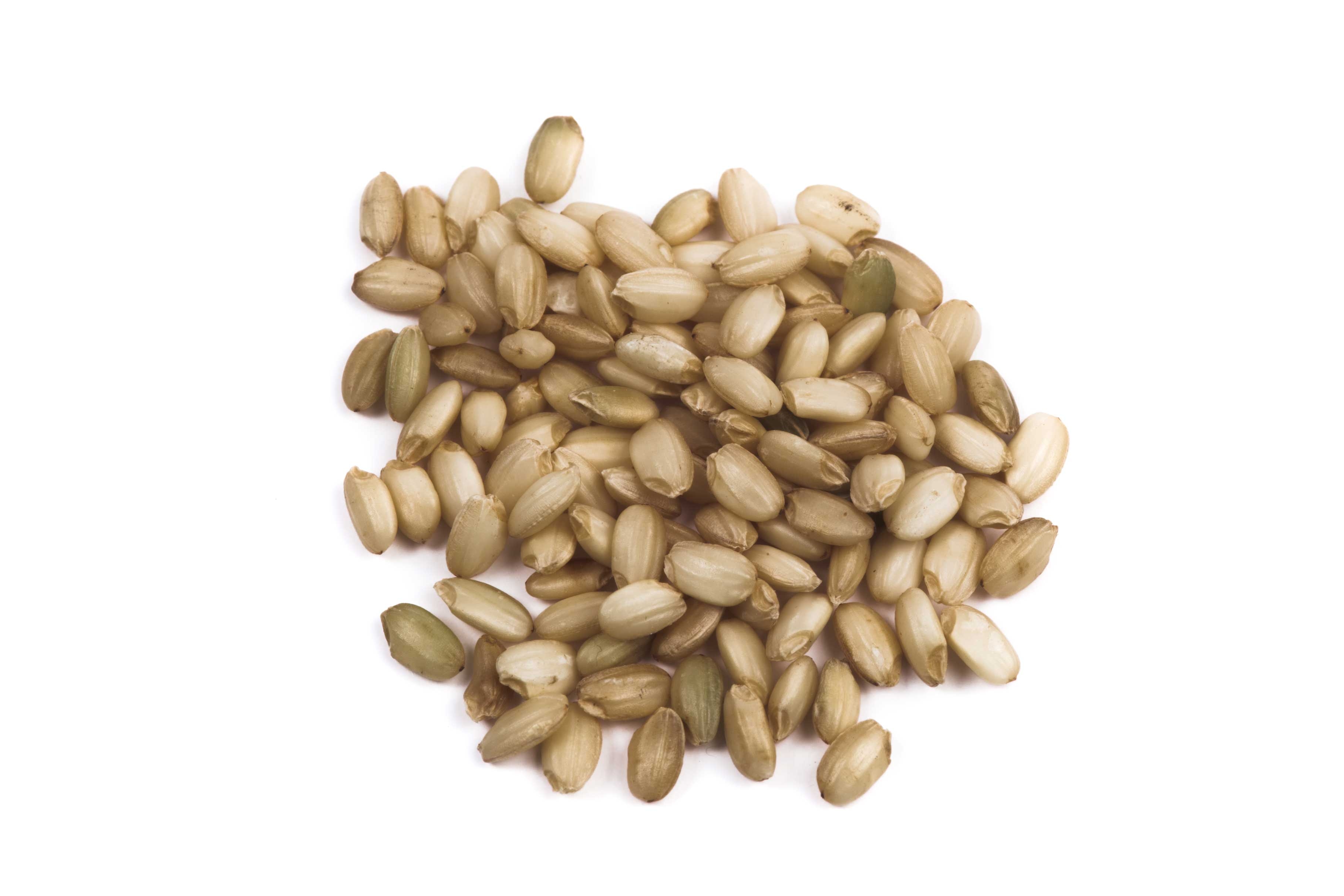 Lundberg Organic Sweet Brown Rice, 25 Pound.