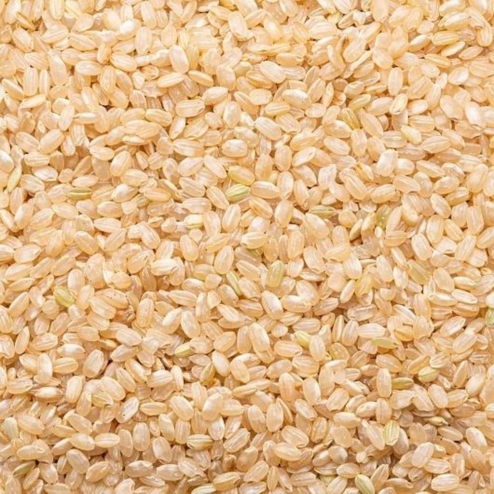 Lundberg Family Farms Organic Short Grain Brown Rice, 25 Pound