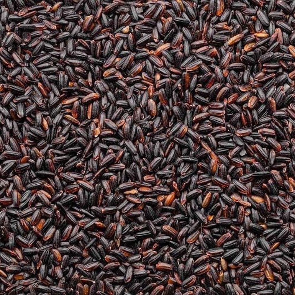 Lundberg Family Farms Organic Black Pearl Rice, 25 Pound