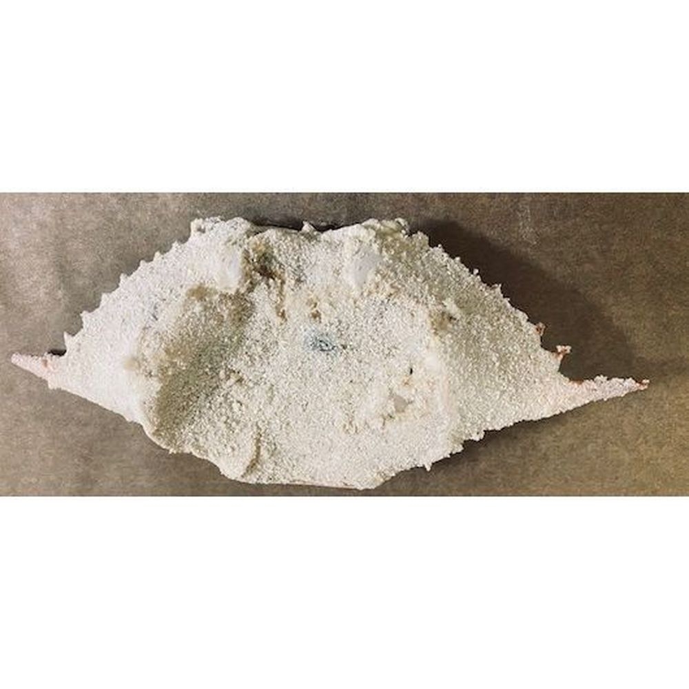 Miss Sallys Seafood Stuffed Crab, 2.25 Pound -- 6 per case