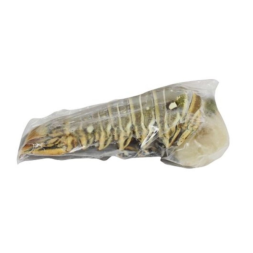 Island Prince 8 Ounce Warm Water Lobster Tail, 10 Pound