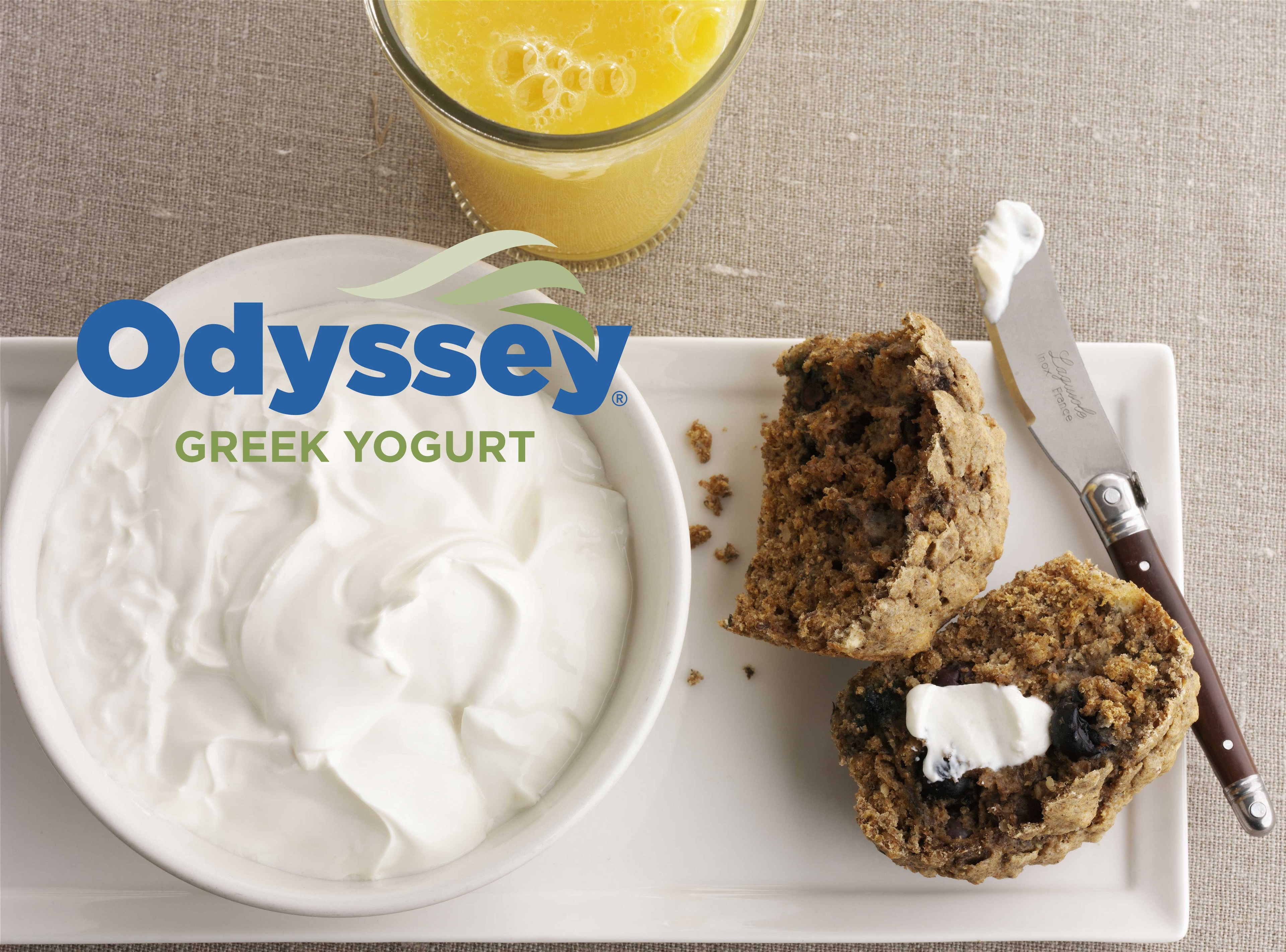 Odyssey 10 Percent Plain Greek Yogurt, 11 Pound