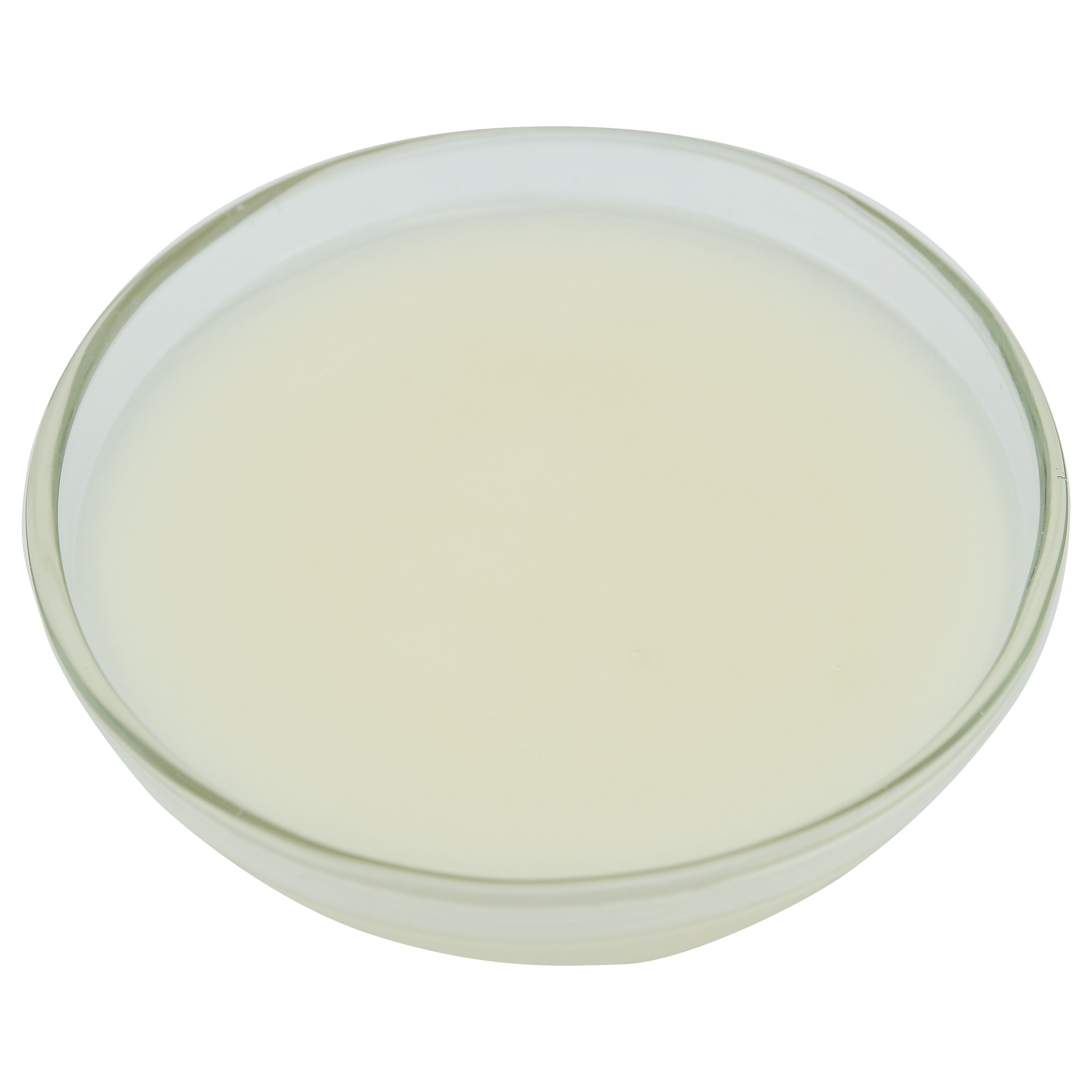 Brill Glaze N Shine, 23 Pound.