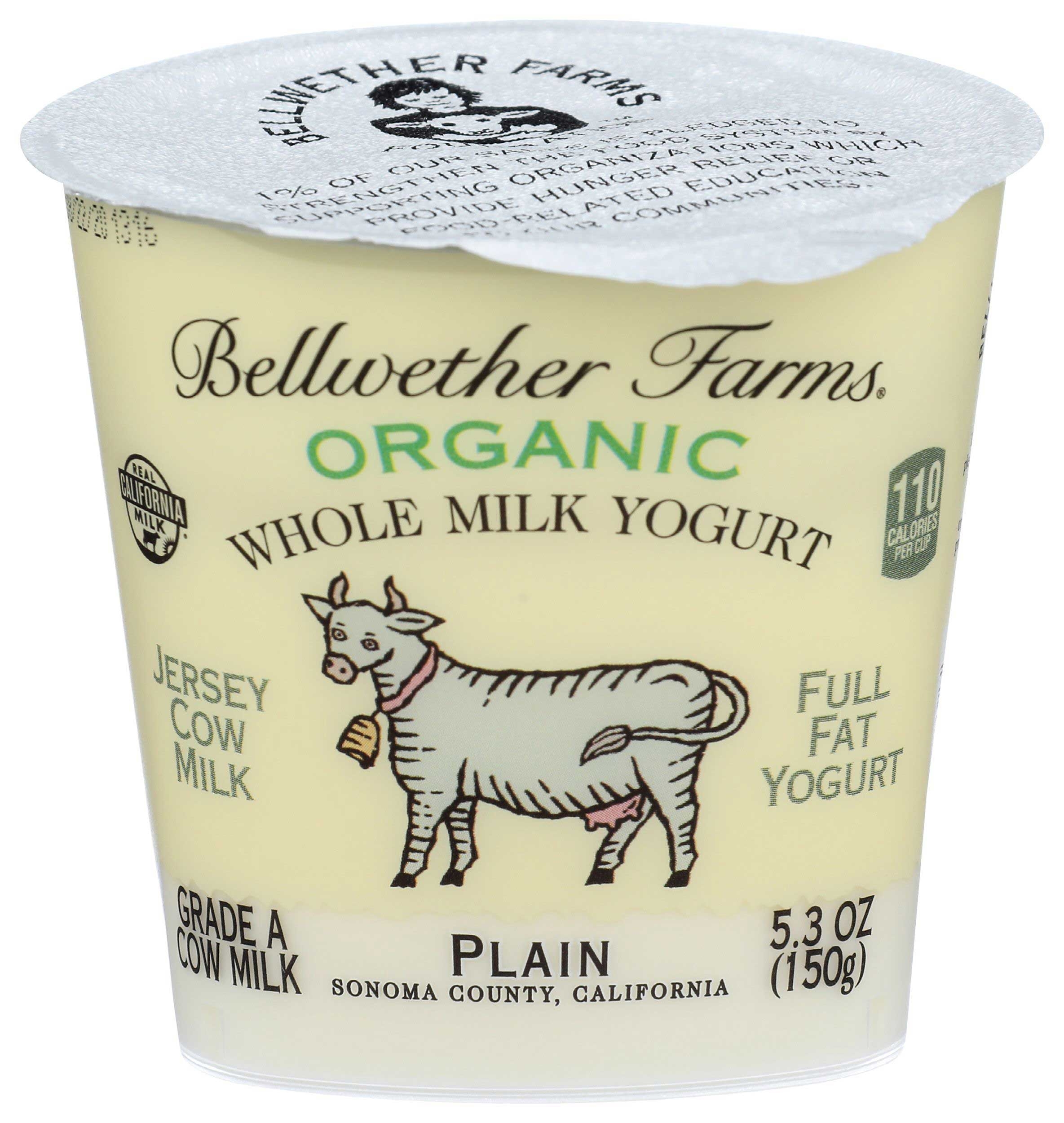 Bellwether Farms Organic Plain Whole Milk Yogurt, 5.3 Ounce -- 12 per case