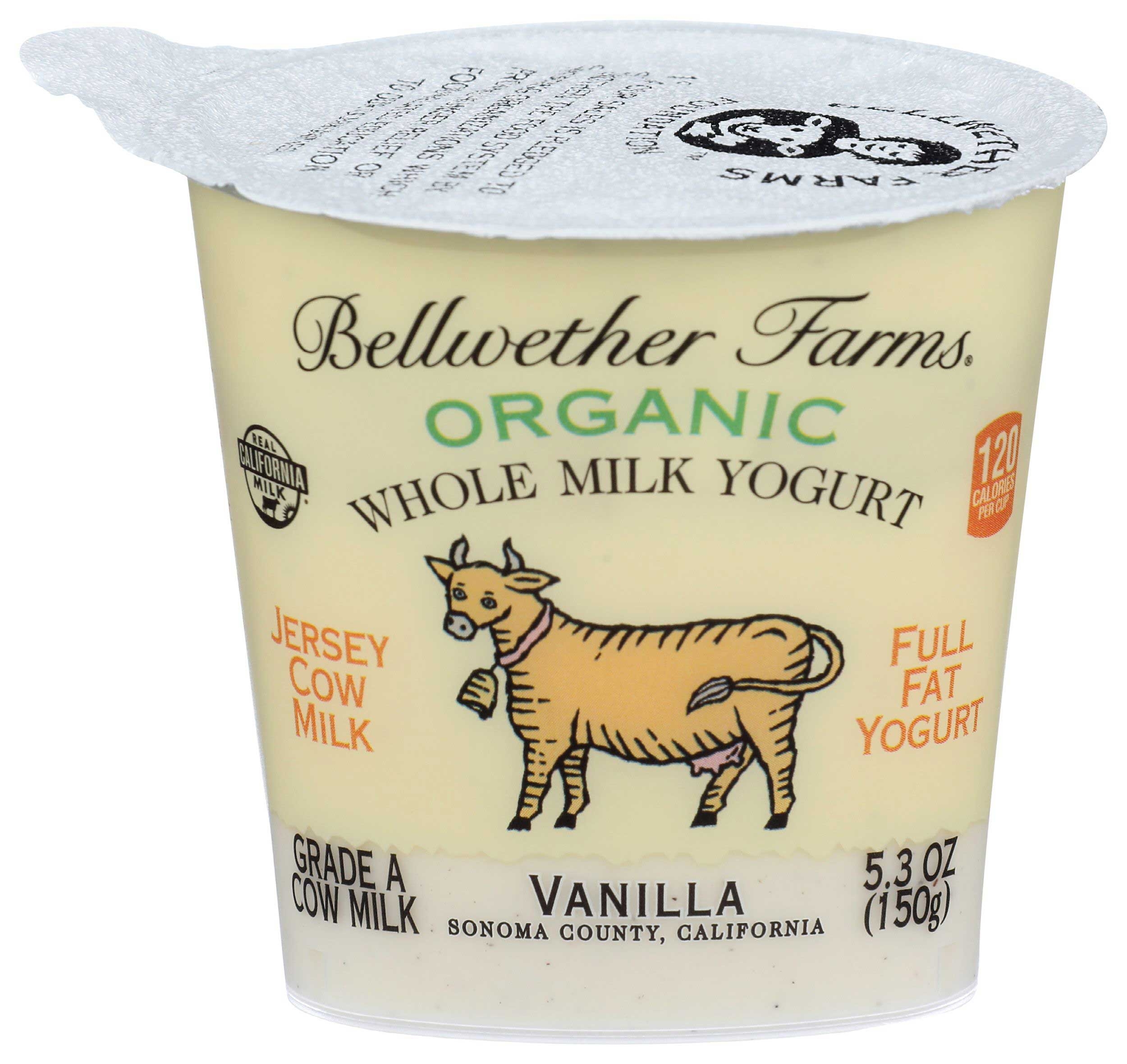 Bellwether Farms Organic Vanilla Whole Milk Yogurt, 5.3 Ounce -- 12 per case