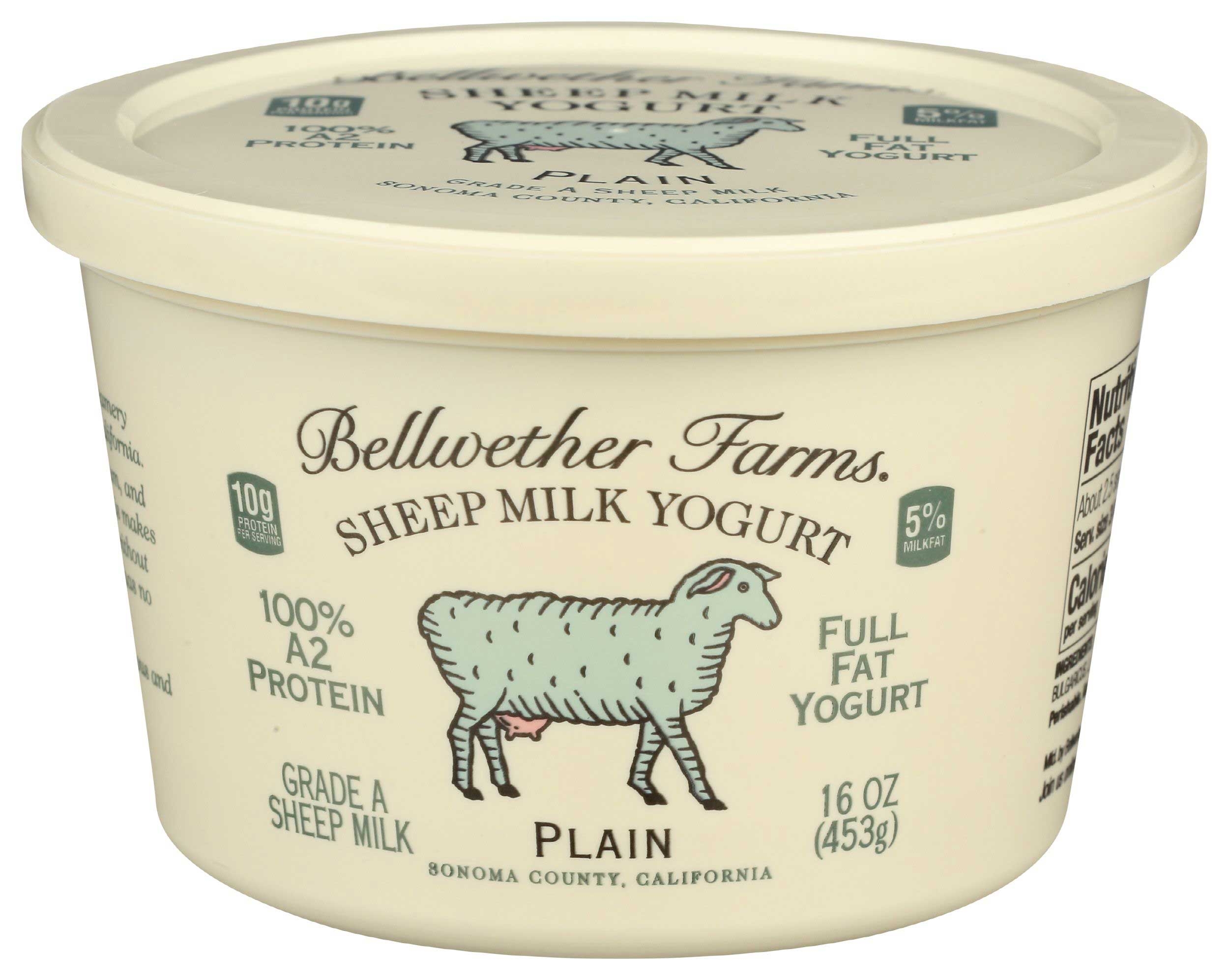 Bellwether Farms Plain Sheep Milk Yogurt, 16 Ounce -- 6 per case