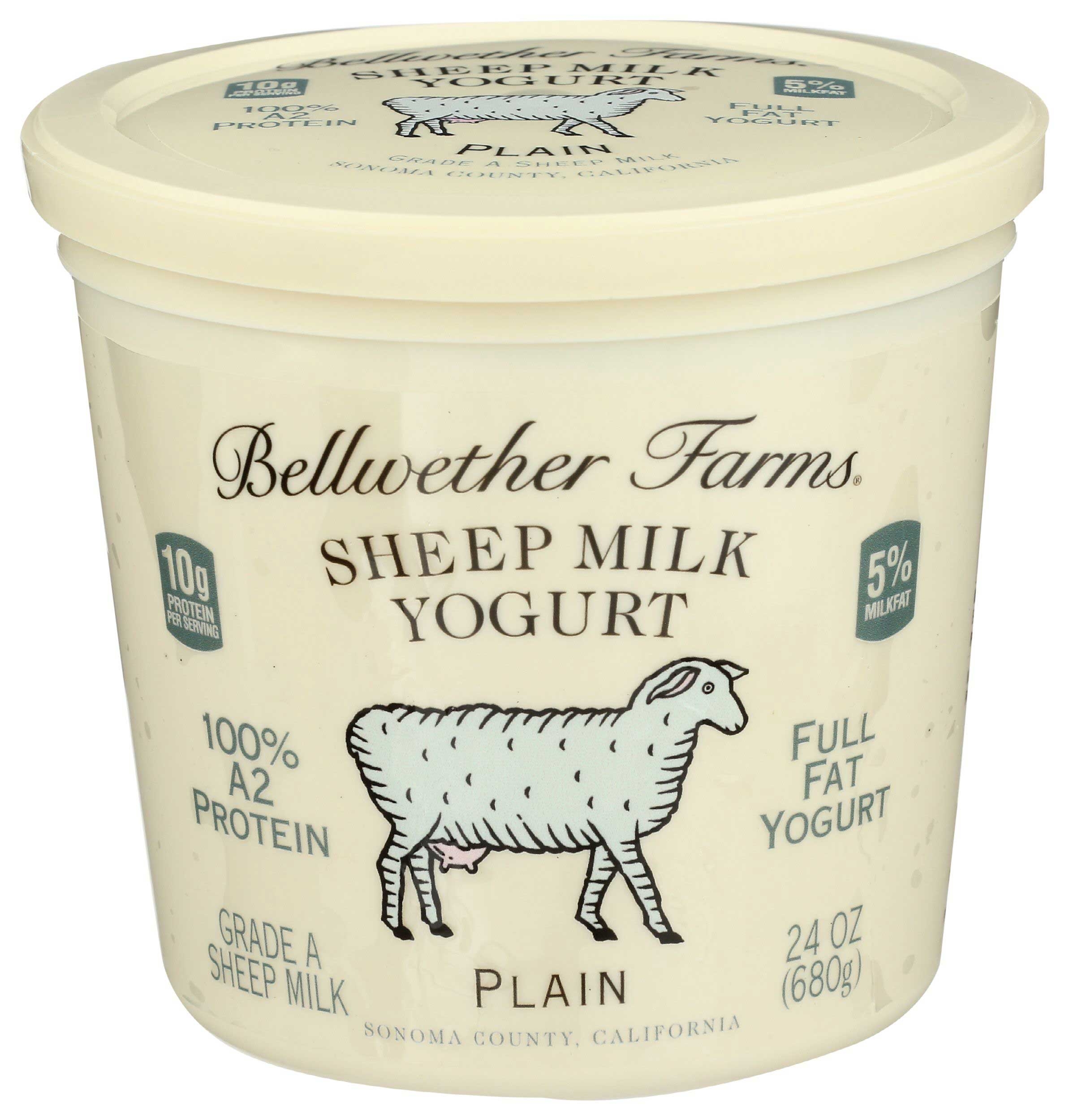 Bellwether Farms Plain Sheep Milk Yogurt, 24 Ounce -- 6 per case