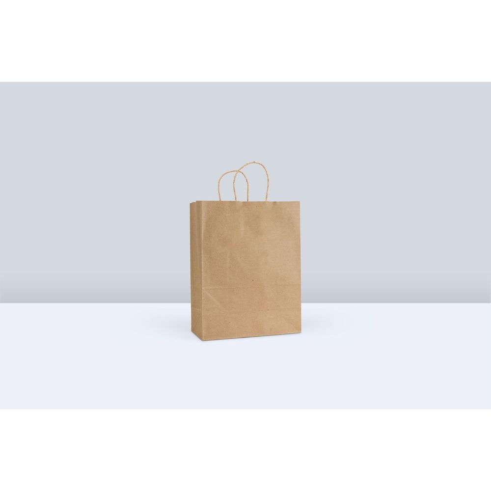 Interplast Group Reddi 2 Go Number 60 Kraft Twist Handle Paper Bag, 10 x 5 x 13 inch -- 250 per case