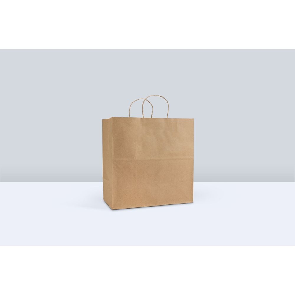 Interplast Group Reddi 2 Go Number 65 Kraft Twist Handle Paper Bag, 13 x 7 x 13 inch -- 250 per case
