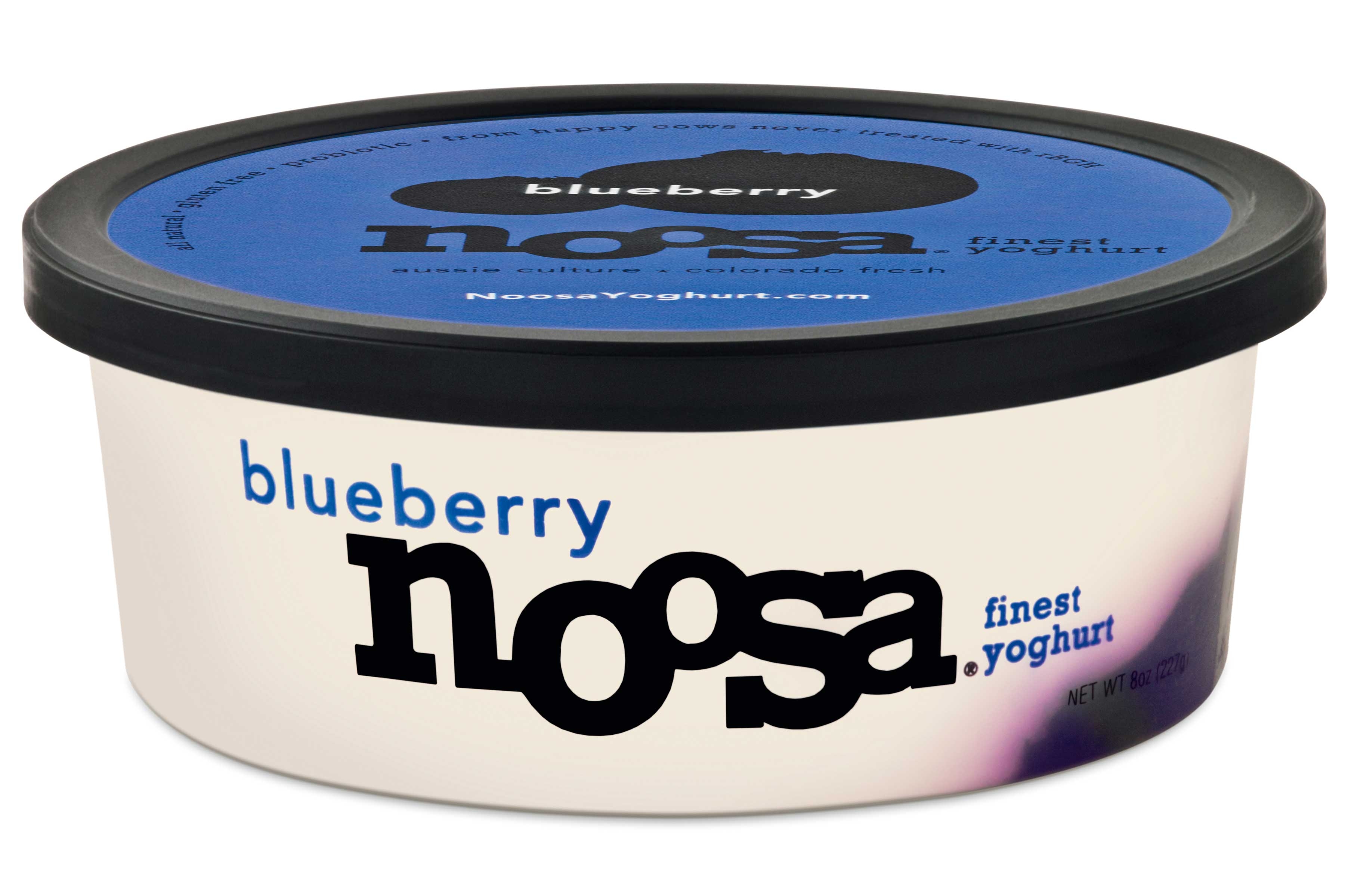 Noosa Blueberry Yoghurt -- 12 per case.