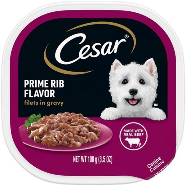 Cesar Filets in Gravy Prime Rib Beef and Chicken Flavor Wet Food for Adult Dog, 3.5 Ounce -- 24 per case