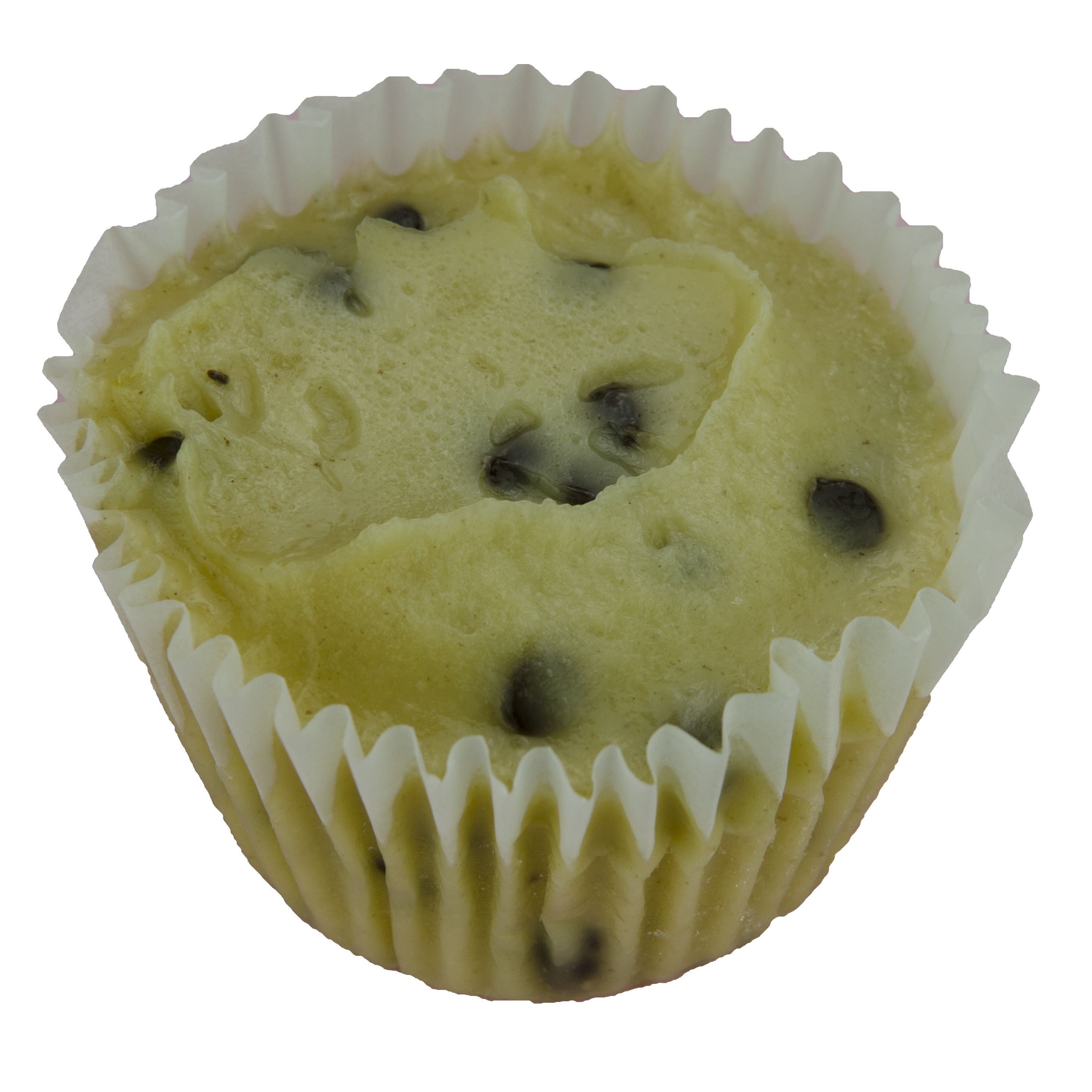 Multifoods Clean Label Chocolate Chip Muffin.