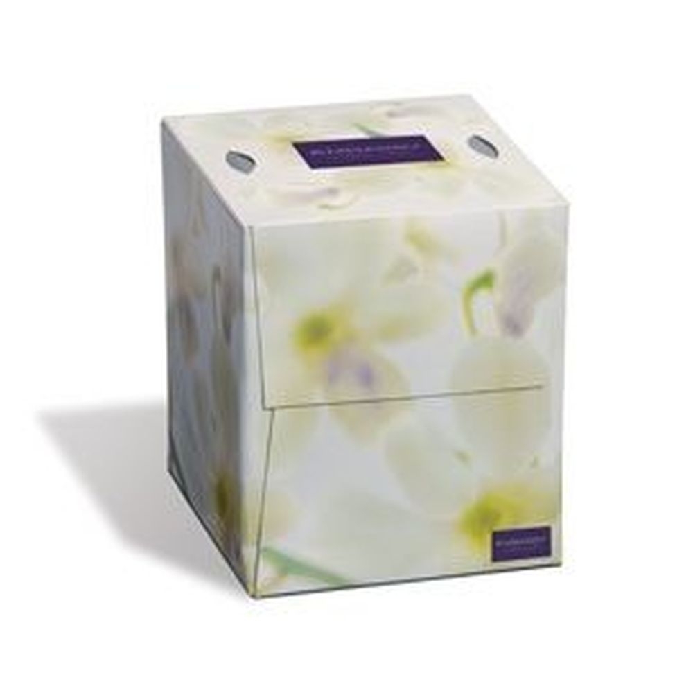 Embassy White 2-Ply Cube Facial Tissue, 100 count -- 36 per case
