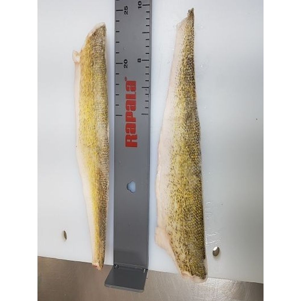 Freshwater Fish Individually Quick Frozen 6-8 Ounce Skin On Walleye Fillet, 11 Pound