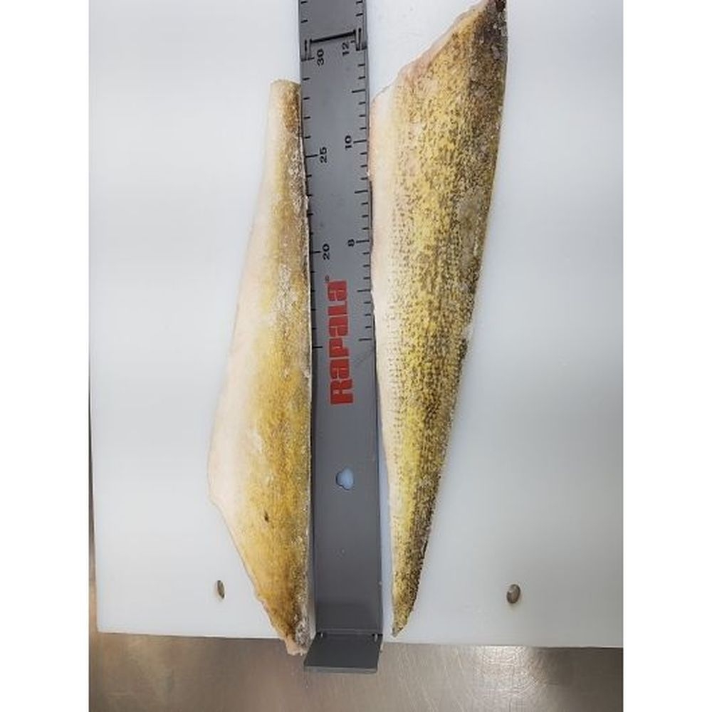 Freshwater Fish Individually Quick Frozen 8-10 Ounce Skin On Walleye Fillet, 11 Pound