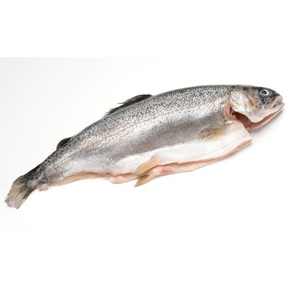 Riverence Provisions 9 to 11 Ounce Boned Trout, 10 Pound