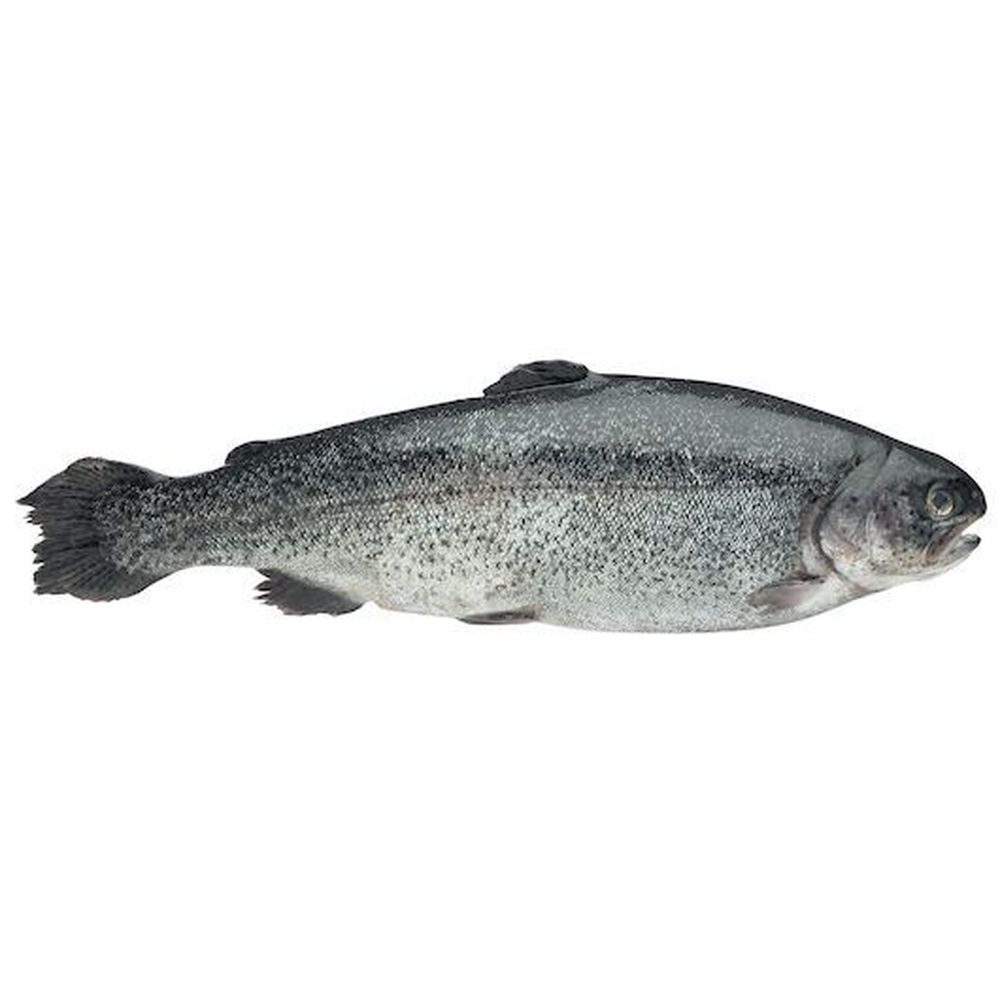 Riverence Provisions 11 to 13 Ounce Boned Trout, 10 Pound