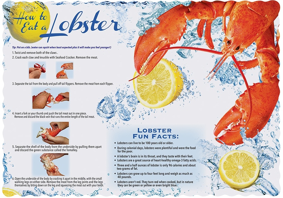 Hoffmaster Lobster Facts Paper Placemat, 9.75 x 14 inch -- 1000 per case.