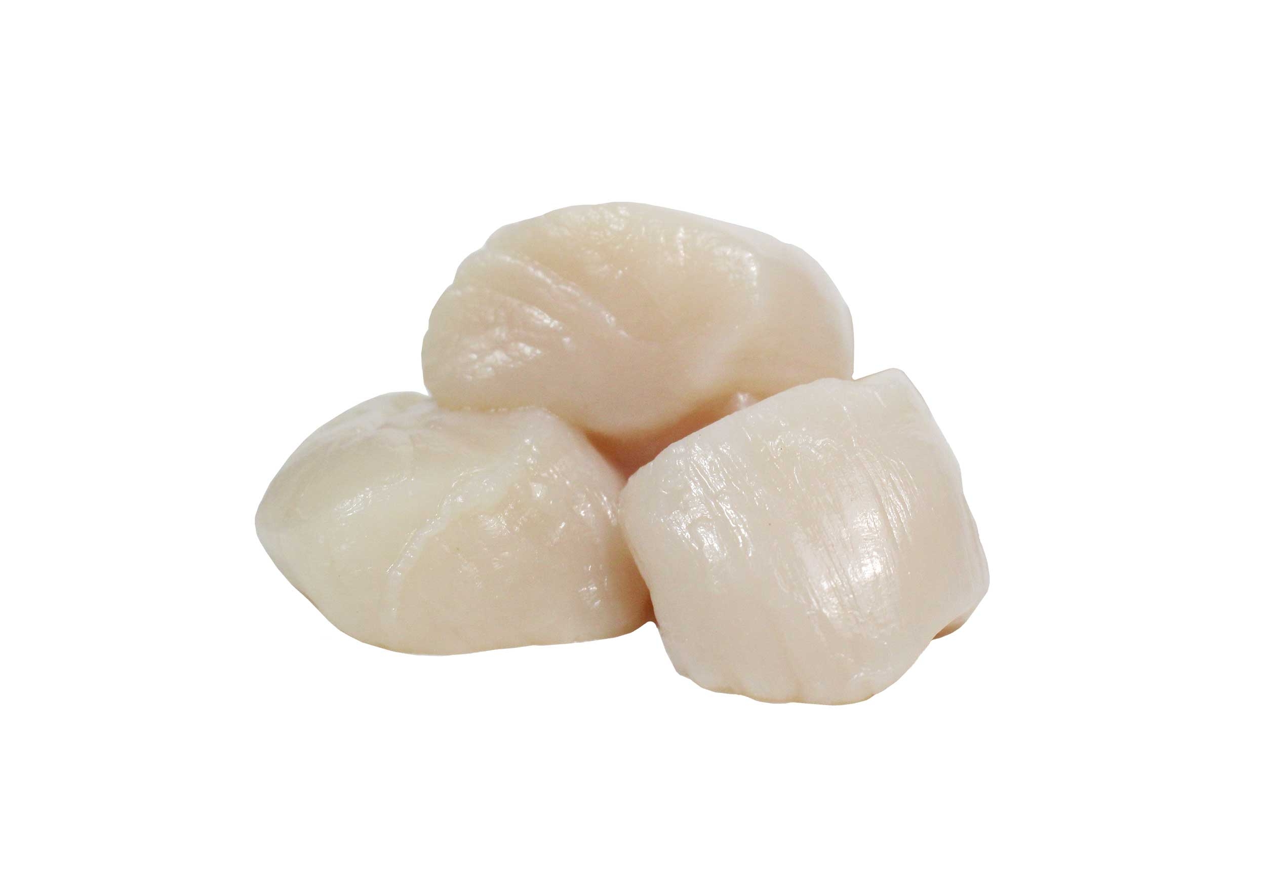 Marquis 40/60 Count Scallops, 5 Pound -- 2 per case.