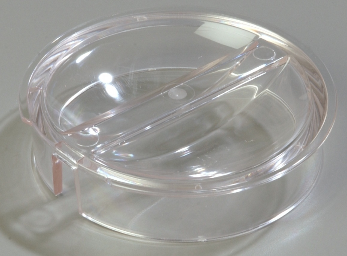 Carlisle Elan Clear Vented Lid for Elan Pitcher -- 6 per case