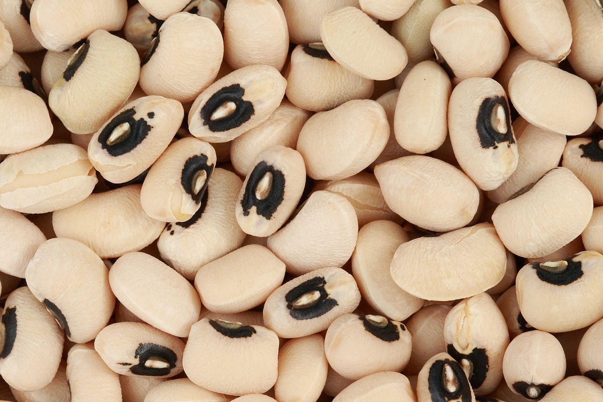 Commodity Vegetables Black Eyed Peas, 3 Pound -- 12 per case.