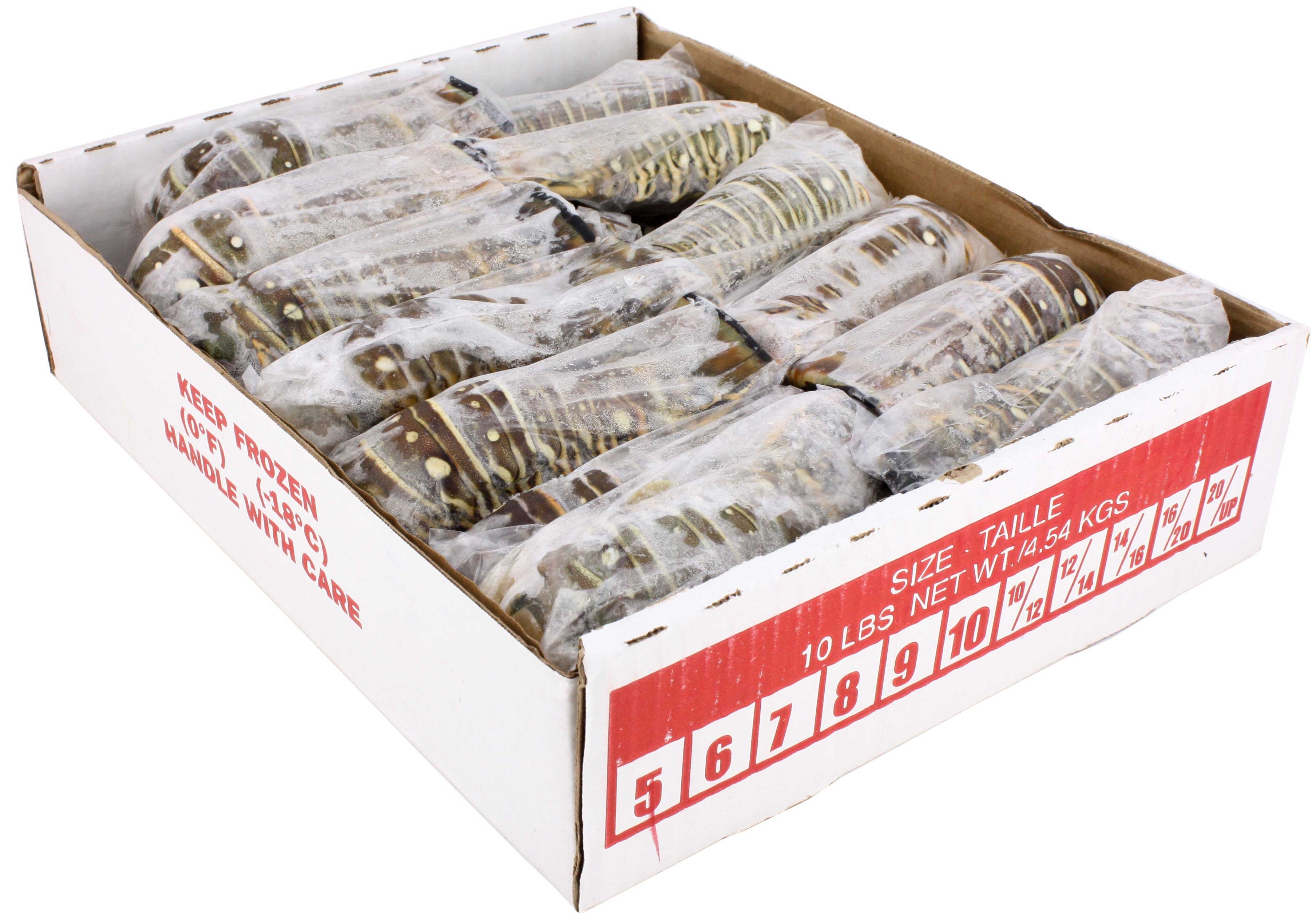 Frozen Seafood 5 Ounce Warm Water Lobster Tail, 10 Pound.