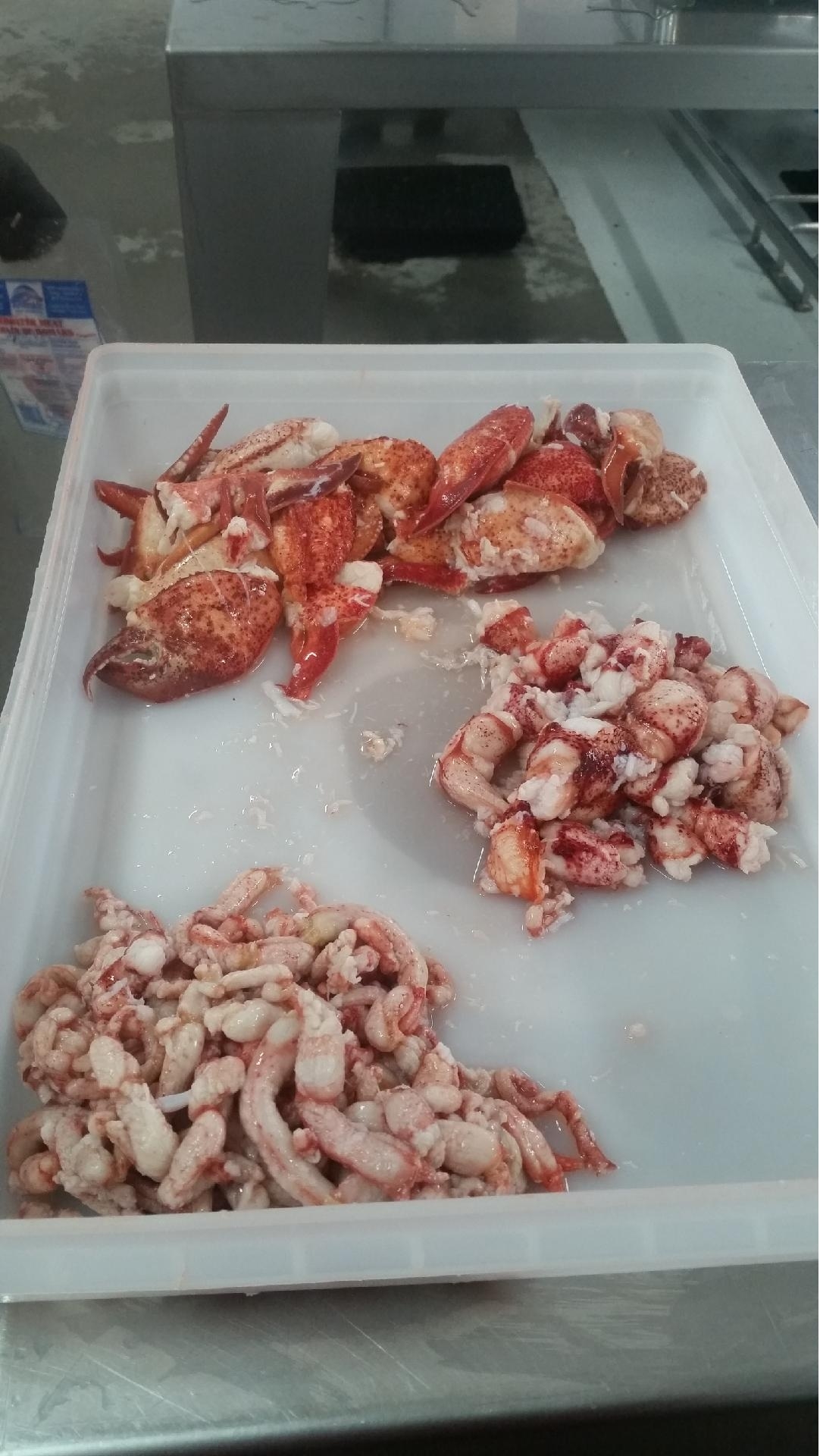 Frozen Seafood Lobster Claws Knuckle and Leg Meat, 2 Pound -- 6 per case.