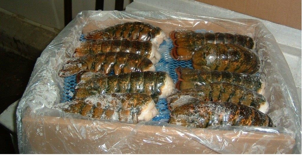 Commodity Canadian Lobster Tails, 10 Ounce.