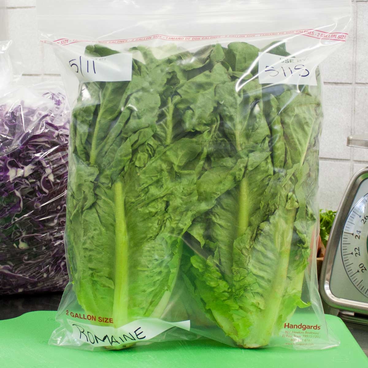 Handgards Low Density Clear Reclosable Zipgrad Bag - Flat Pack, 13 x 15.75 inch -- 250 per case.