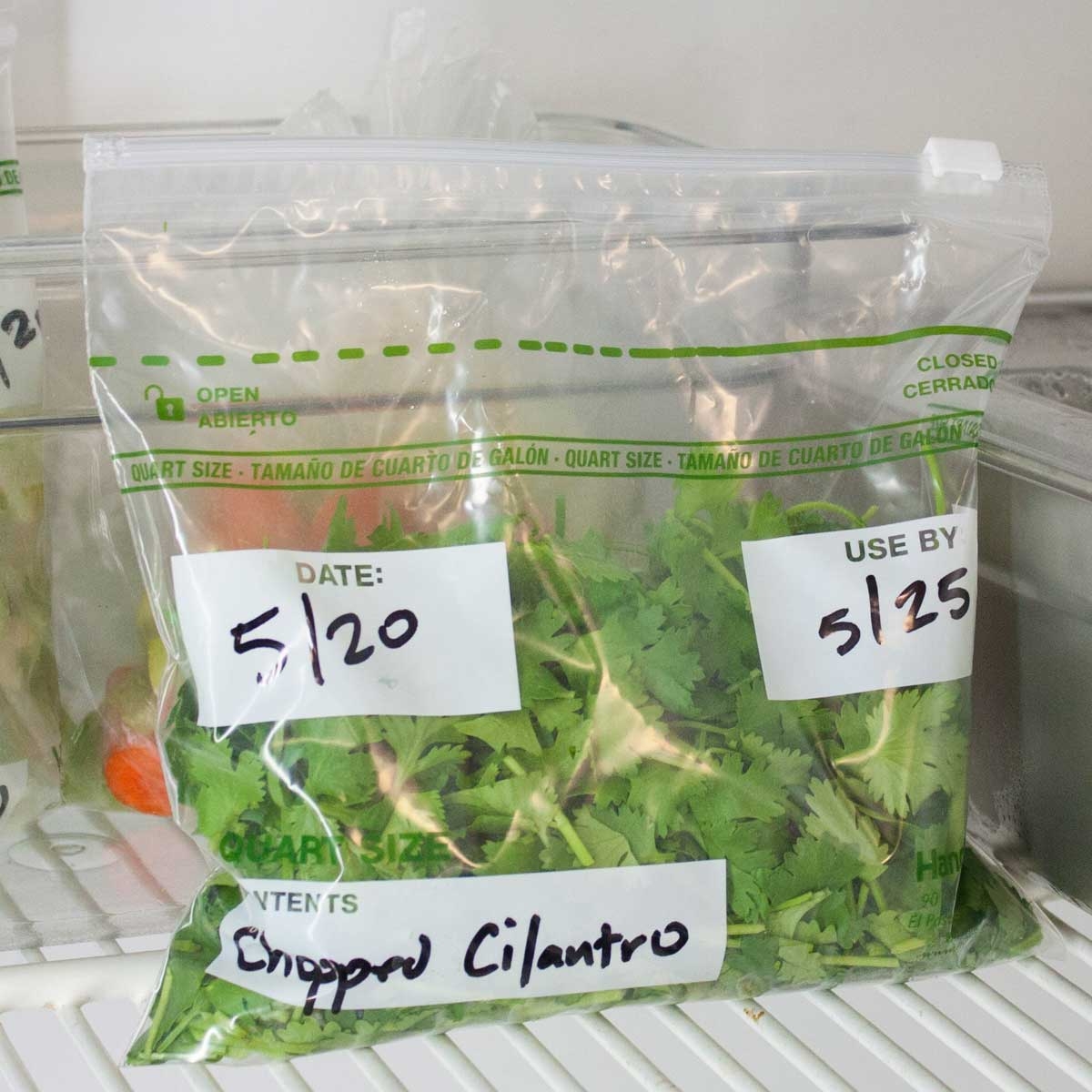 ZipGards Clear Disposable Slider Zipper Bag, 7 x 8 inch -- 250 per case.