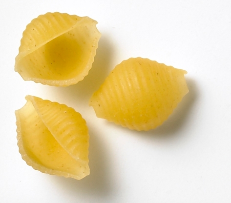 Dakota Growers Small Shells Pasta, 10 Pound -- 2 per case.