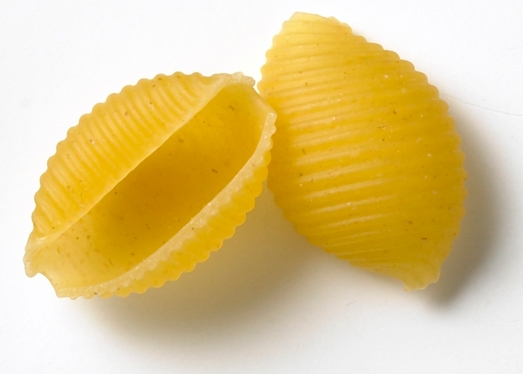 Dakota Growers Medium Shells Pasta, 10 Pound -- 2 per case.