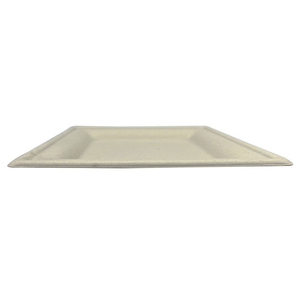 Empress Earth Natural White Square Heavy Weight Molded Fiber Plate, 8 x 8 inch -- 500 per case.