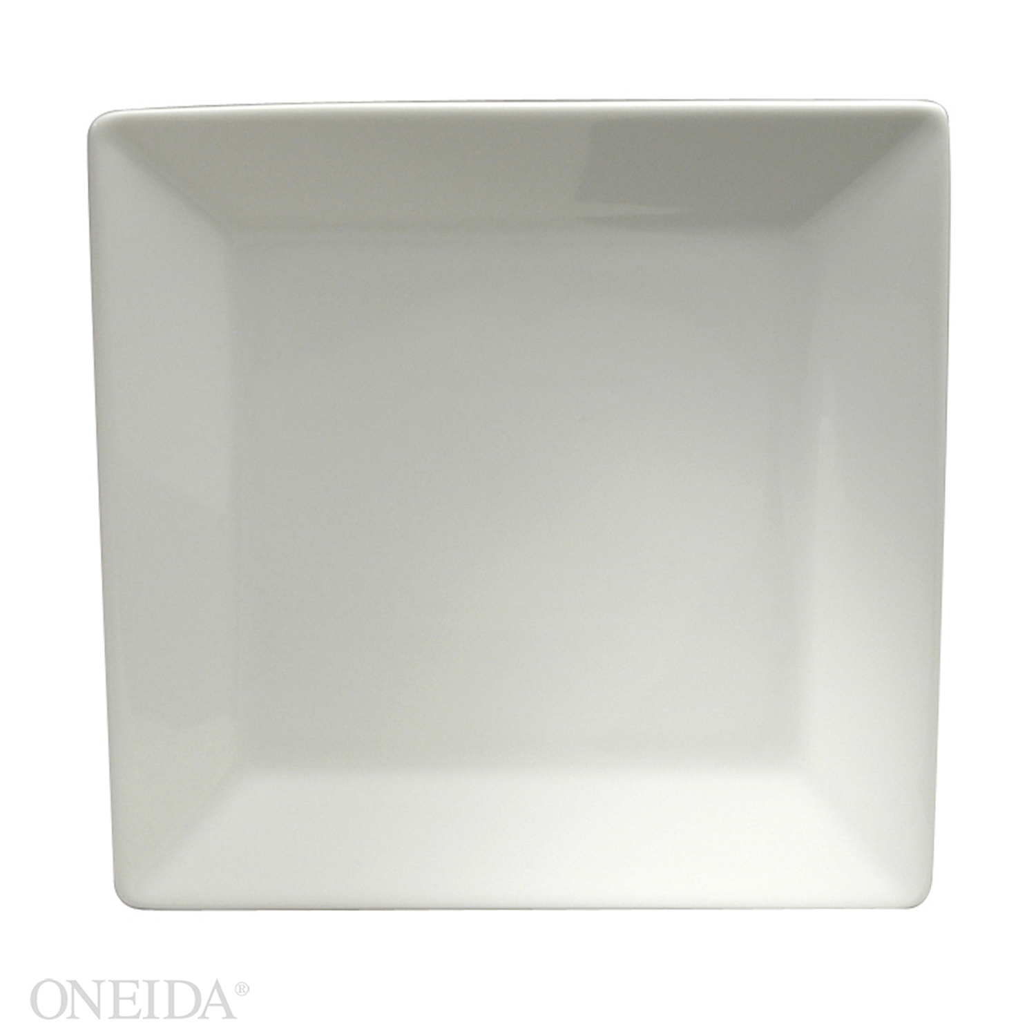 Sant Andrea Fusion Fine Porcelain Undecoratd Plate, 9.75 inch -- 12 per case.