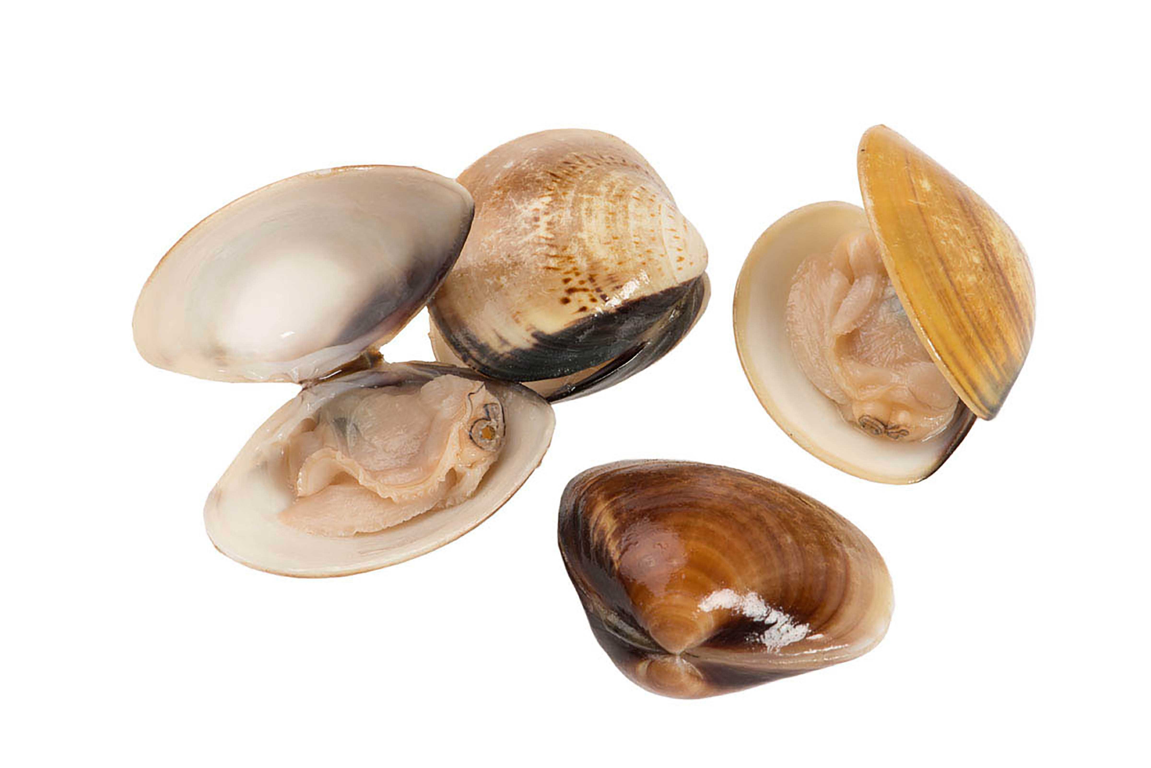 Pana Pesca Clam Hard Shell Fully Cooked Skin Pack, 14.1 Ounce -- 12 per case.