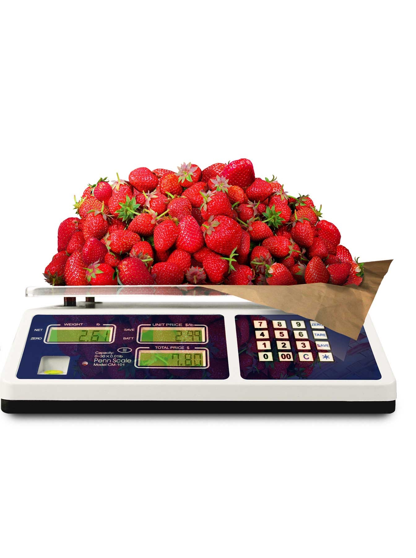 Penn Scale Price Computing Scale, 30 lb