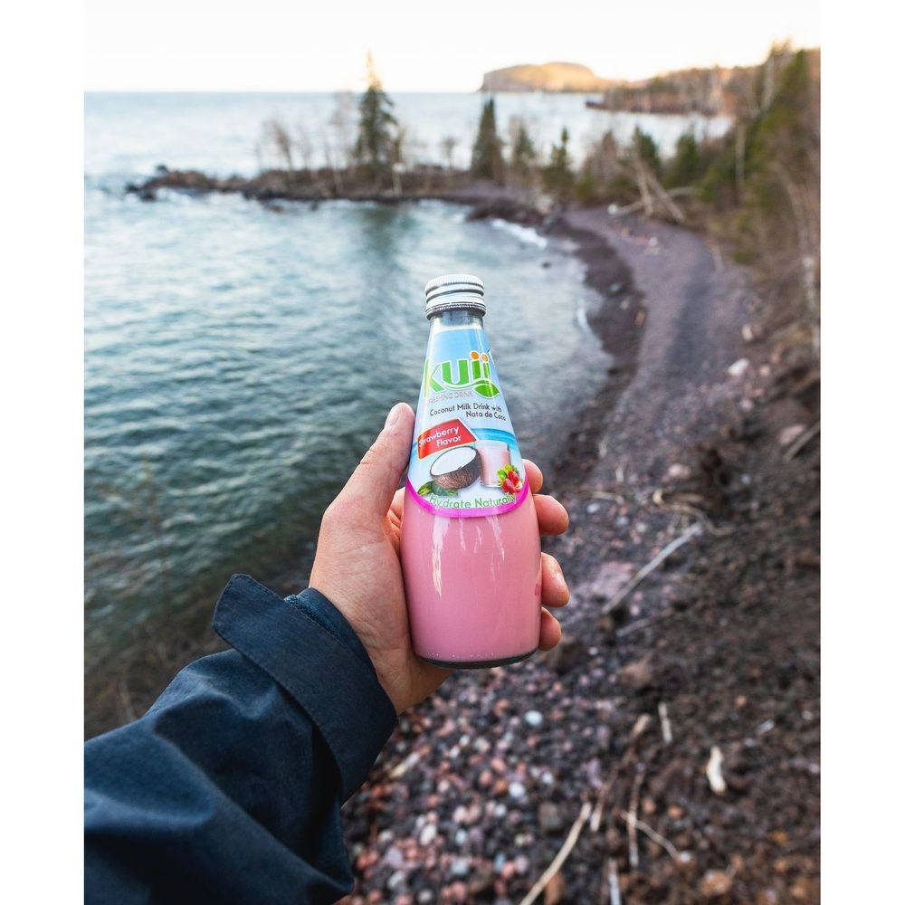 Kuii Strawberry Coconut Milk, 9.8 Fluid Ounce -- 12 per case