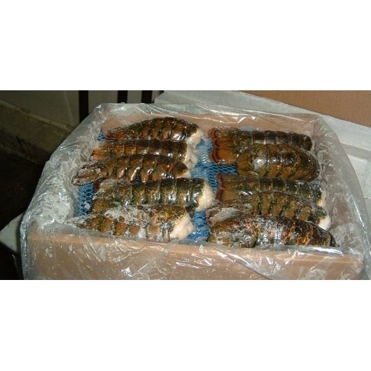 Frozen Seafood 12-14 Ounce Lobster Tail, 10 Pound -- 1 each.