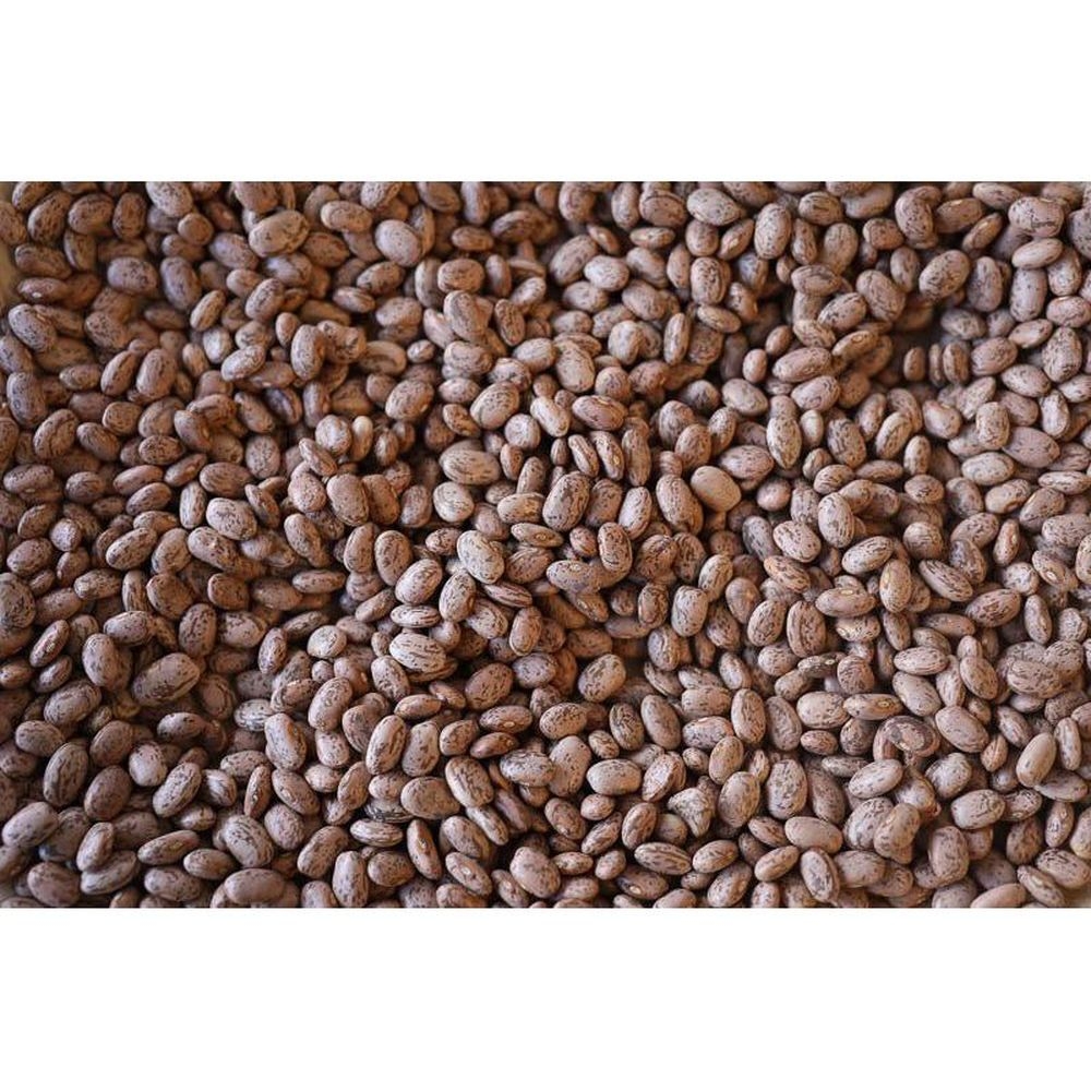 Rancho Gordo Pinto Bean, 16 Ounce -- 12 per case