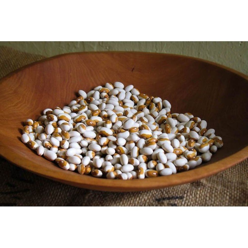 Rancho Gordo Yellow Eye Bean, 16 Ounce -- 12 per case