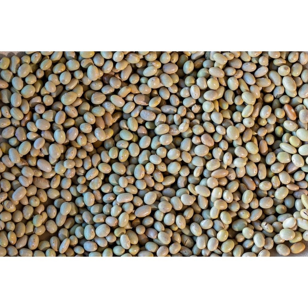Rancho Gordo Mayocoba Bean, 16 Ounce -- 12 per case