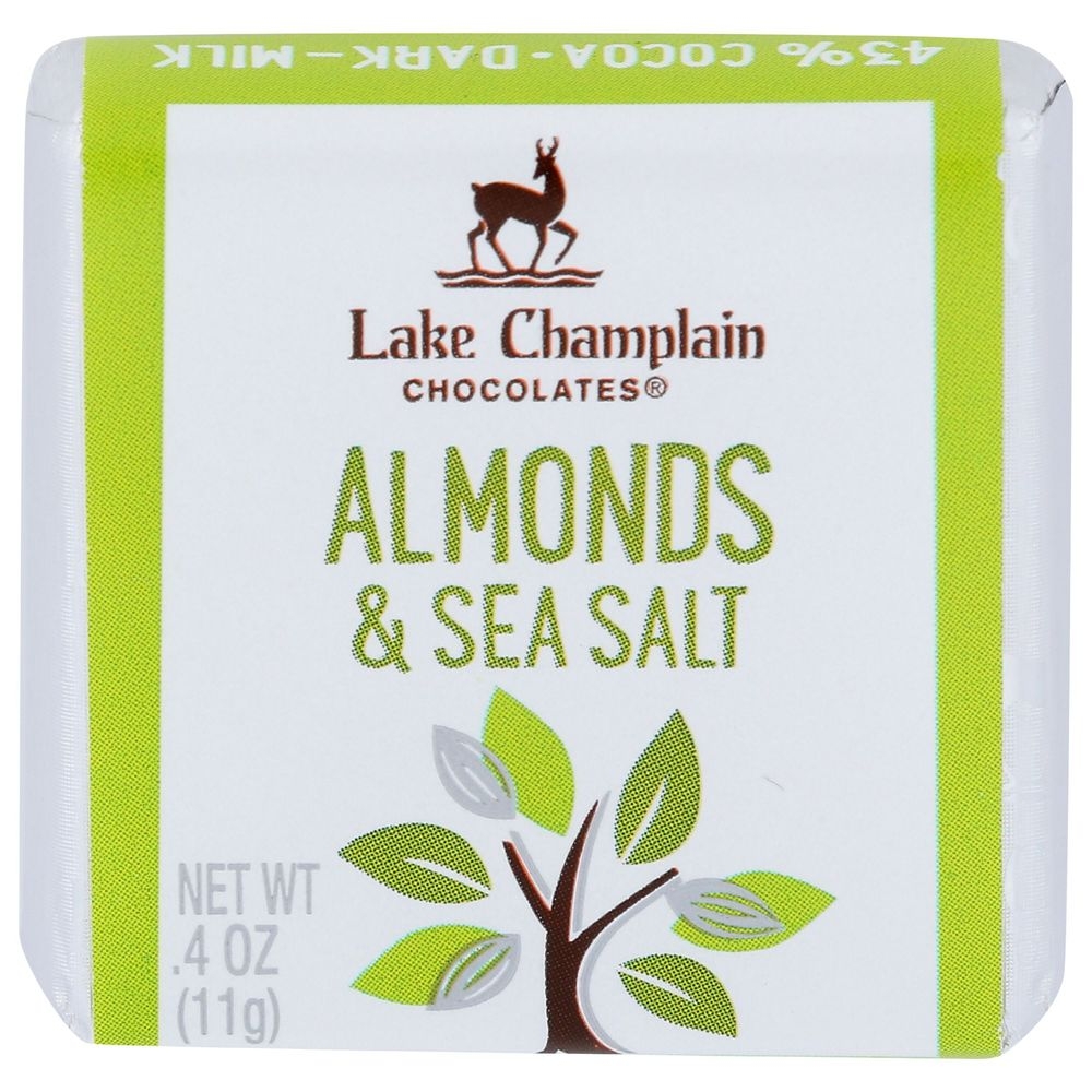 Lake Champlain Chocolates Organic Milk Sea Salt and Almond Squares, 0.4 Ounce