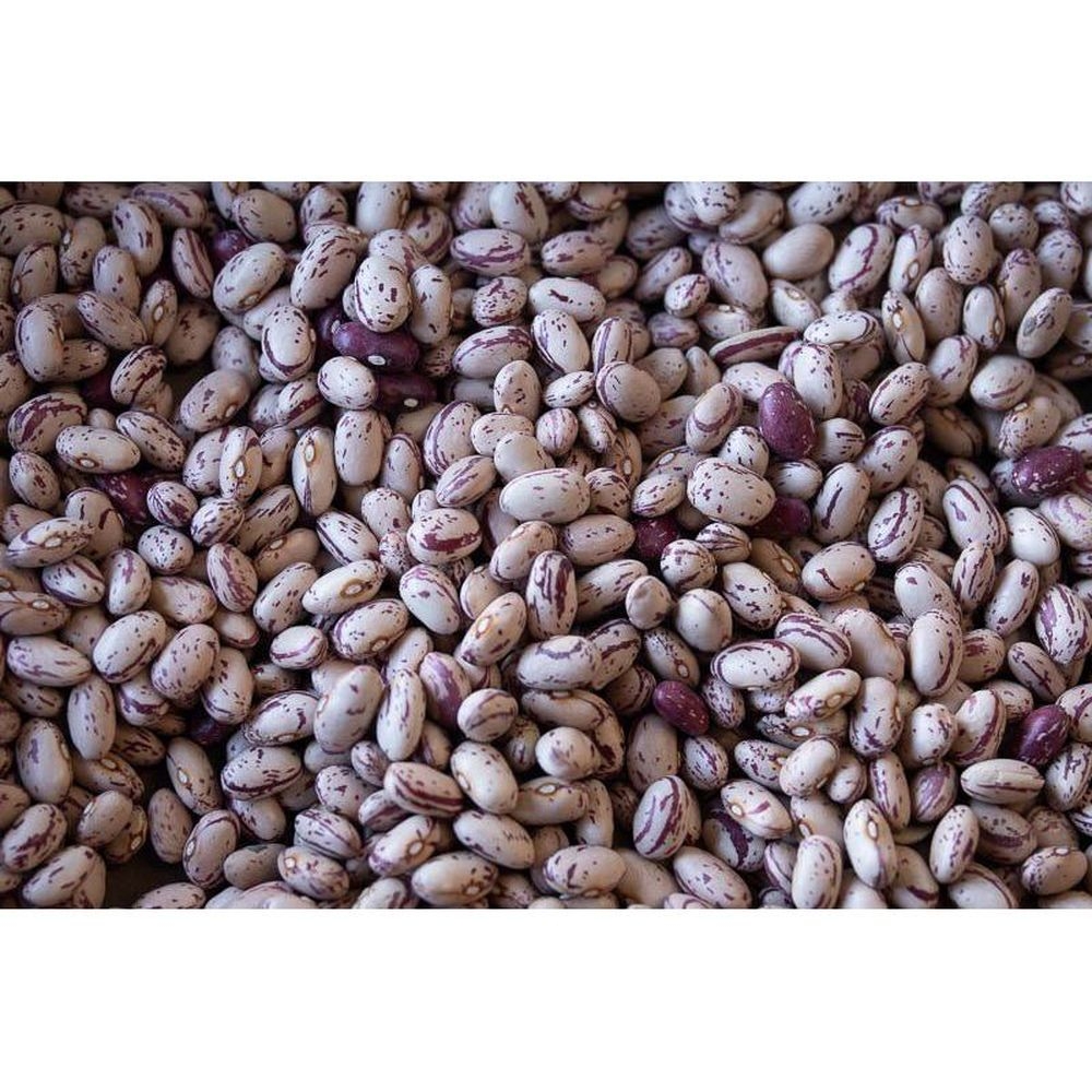 Rancho Gordo Cranberry Bean, 16 Ounce -- 12 per case
